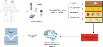 Potential of CDC25 phosphatases in cancer research and treatment: key to precision medicine